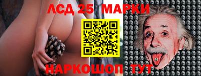 крисы Кандалакша