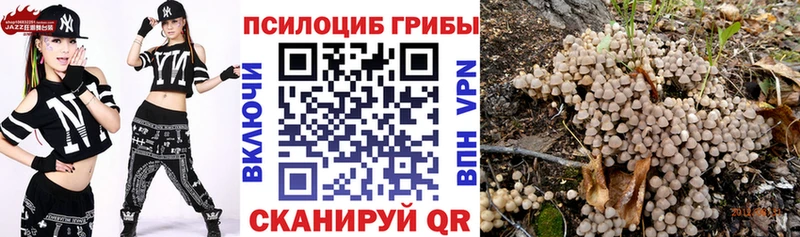 наркошоп Мытищи Галлюциногенные грибы MAGIC MUSHROOMS
