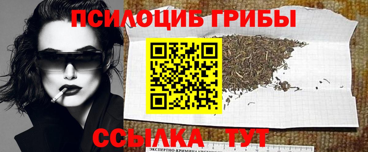 купить  цена  Вход с VPN  Мытищи  Галлюциногенные грибы Psilocybine cubensis  Псилоцибиновые грибы мухоморы 